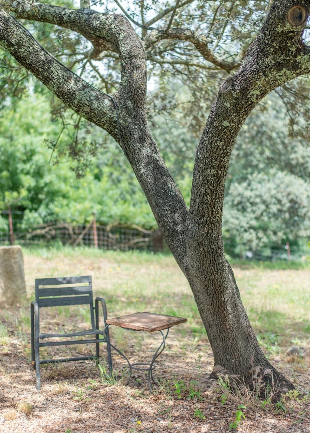 エル・ペドロソ La Umbria De La Riberaゲストハウス エクステリア 写真