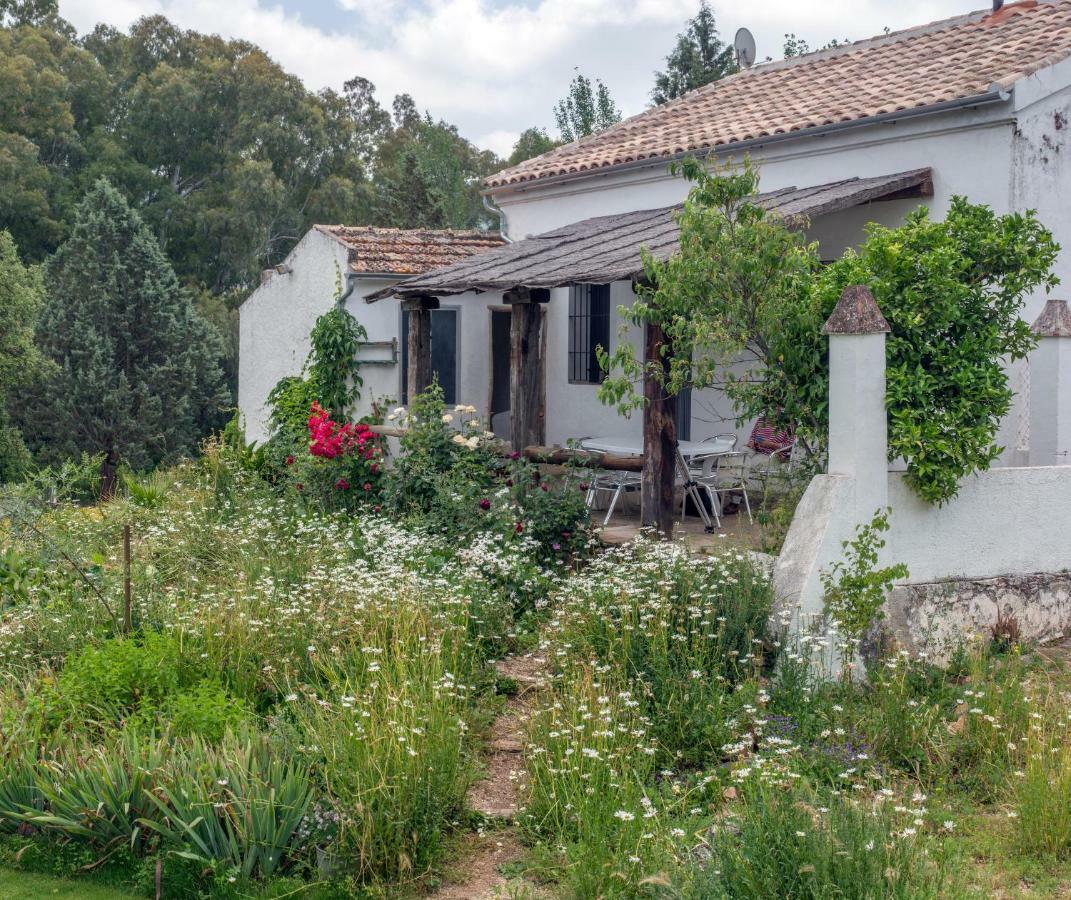 エル・ペドロソ La Umbria De La Riberaゲストハウス エクステリア 写真